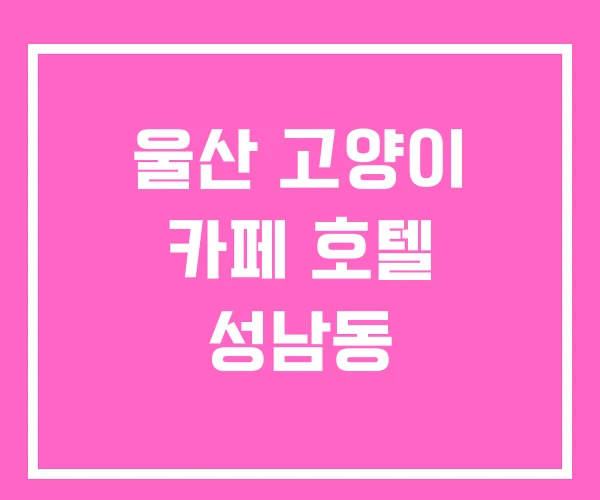 울산 고양이 카페 호텔 성남동 울산 고양이 카페 호텔 성남동