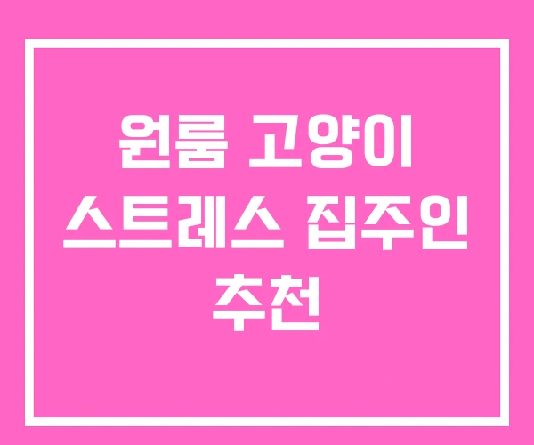 원룸 고양이 스트레스 집주인 추천 원룸 고양이 스트레스 집주인 추천