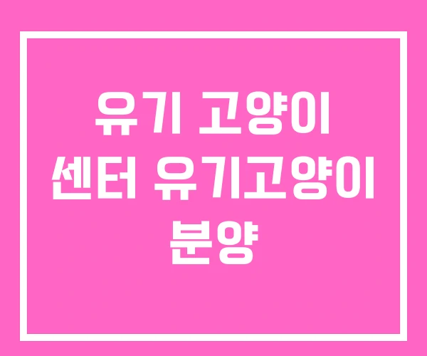 유기 고양이 센터 유기고양이 분양