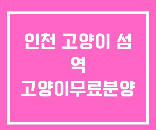 인천 고양이 섬 역 고양이무료분양 인천 고양이 섬 역 고양이무료분양