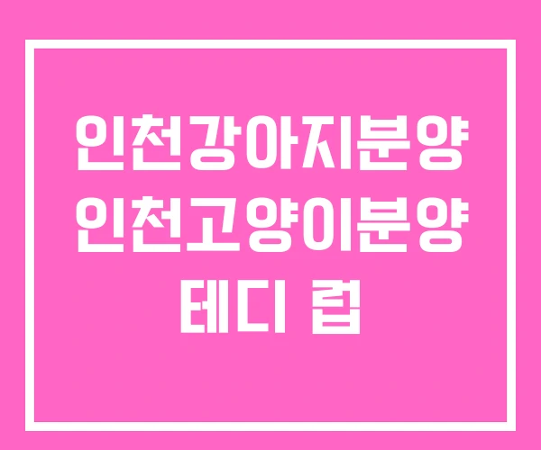 인천강아지분양 인천고양이분양 테디 럽