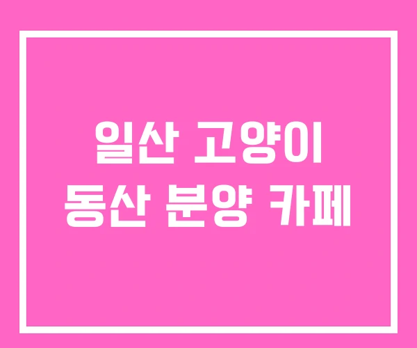 일산 고양이 동산 분양 카페 일산 고양이 동산 분양 카페