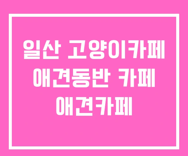 일산 고양이카페 애견동반 카페 애견카페 일산 고양이카페 애견동반 카페 애견카페