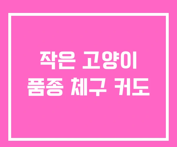 작은 고양이 품종 체구 커도 작은 고양이 품종 체구 커도