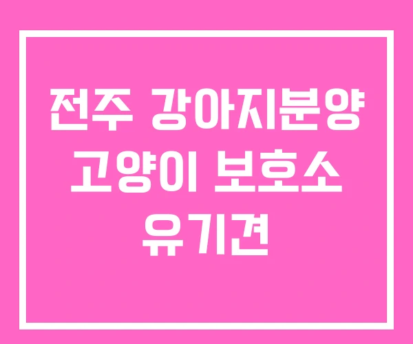 전주 강아지분양 고양이 보호소 유기견