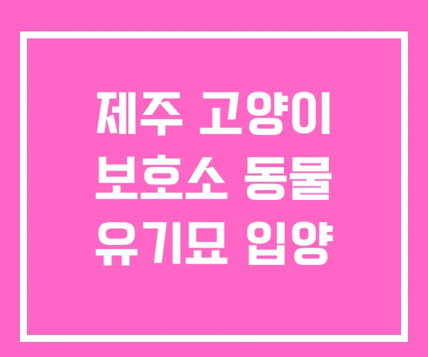 제주 고양이 보호소 동물 유기묘 입양