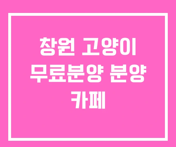 창원 고양이 무료분양 분양 카페