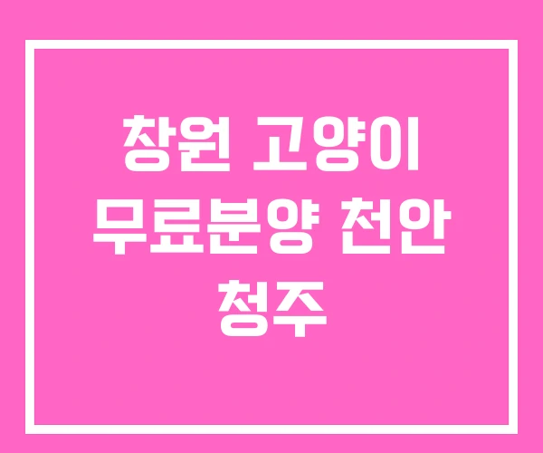 창원 고양이 무료분양 천안 청주 창원 고양이 무료분양 천안 청주