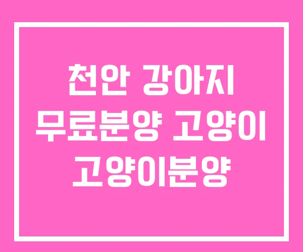 천안 강아지 무료분양 고양이 고양이분양 천안 강아지 무료분양 고양이 고양이분양