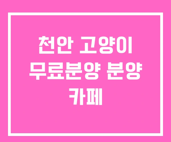 천안 고양이 무료분양 분양 카페