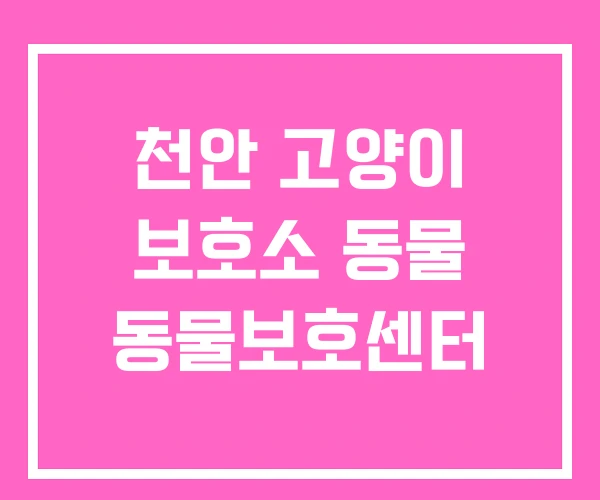 천안 고양이 보호소 동물 동물보호센터