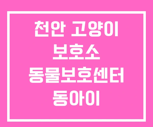 천안 고양이 보호소 동물보호센터 동아이