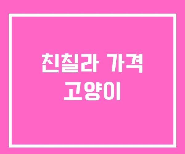 친칠라 가격 고양이 친칠라 가격 고양이