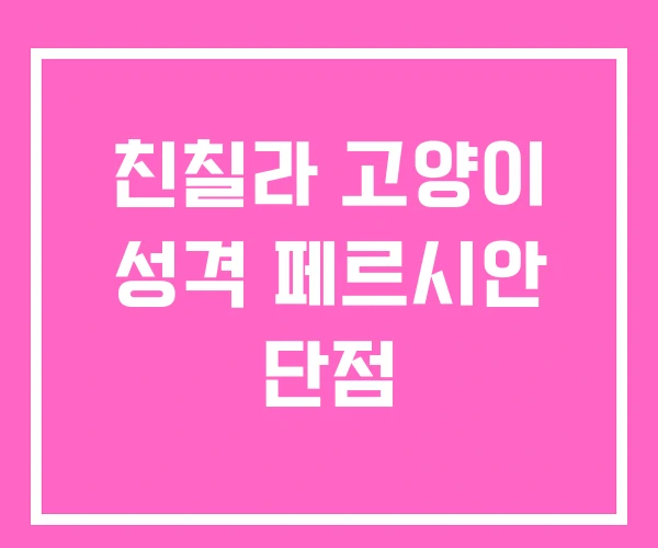 친칠라 고양이 성격 페르시안 단점 친칠라 고양이 성격 페르시안 단점