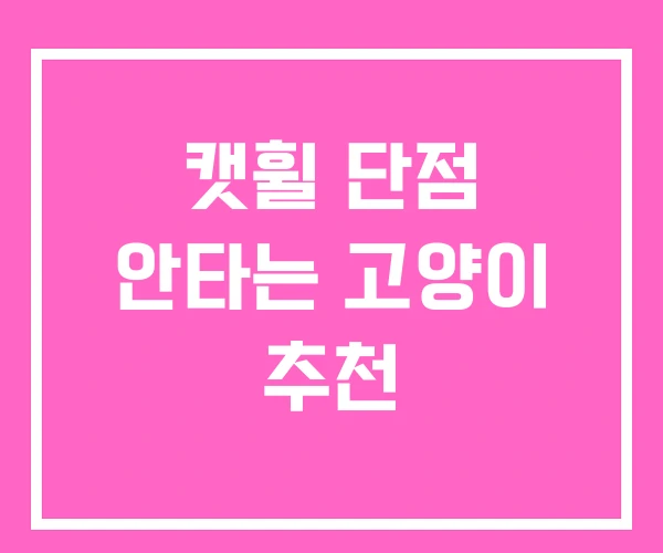 캣휠 단점 안타는 고양이 추천
