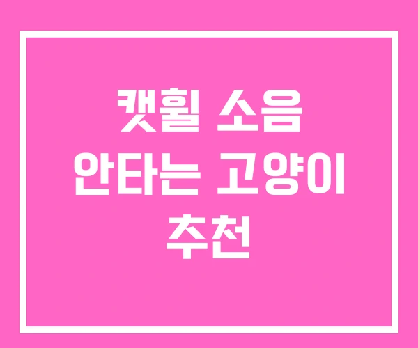 캣휠 소음 안타는 고양이 추천 캣휠 소음 안타는 고양이 추천
