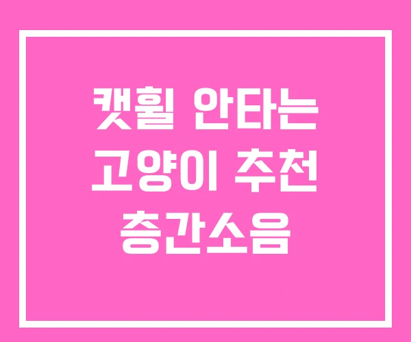 캣휠 안타는 고양이 추천 층간소음 캣휠 안타는 고양이 추천 층간소음