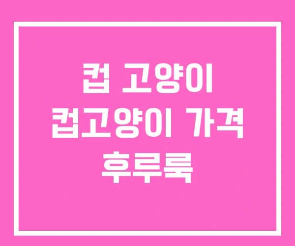 컵 고양이 컵고양이 가격 후루룩 컵 고양이 컵고양이 가격 후루룩