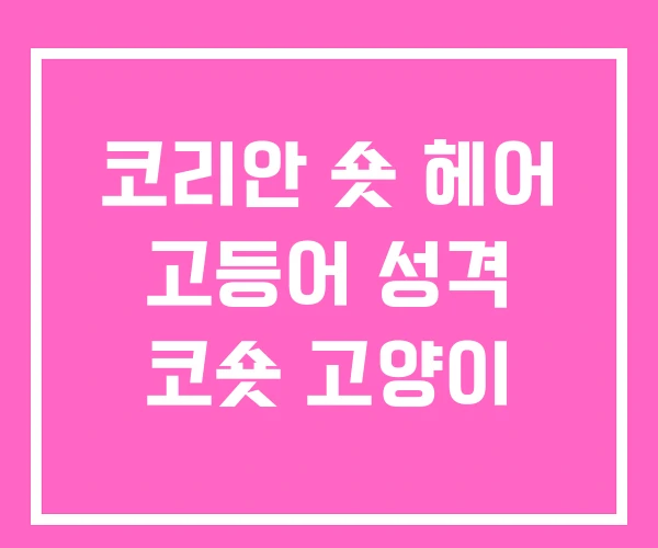 코리안 숏 헤어 고등어 성격 코숏 고양이