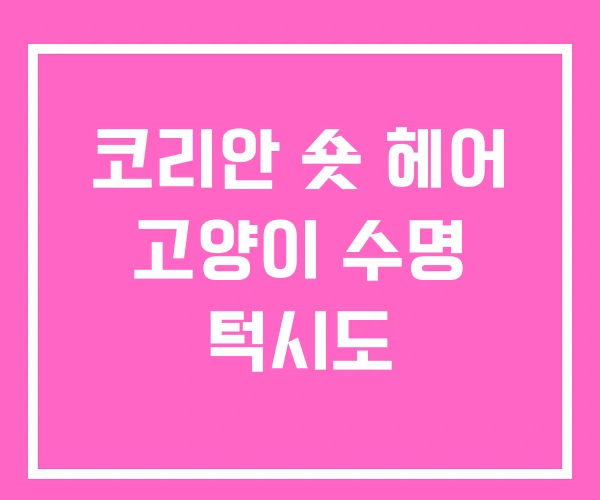 코리안 숏 헤어 고양이 수명 턱시도