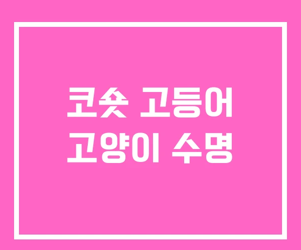 코숏 고등어 고양이 수명 코숏 고등어 고양이 수명