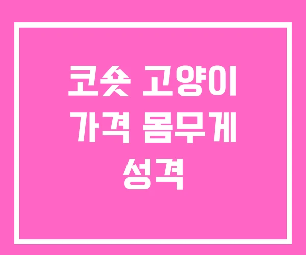 코숏 고양이 가격 몸무게 성격