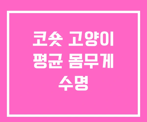 코숏 고양이 평균 몸무게 수명 코숏 고양이 평균 몸무게 수명