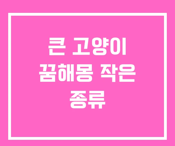 큰 고양이 꿈해몽 작은 종류 큰 고양이 꿈해몽 작은 종류