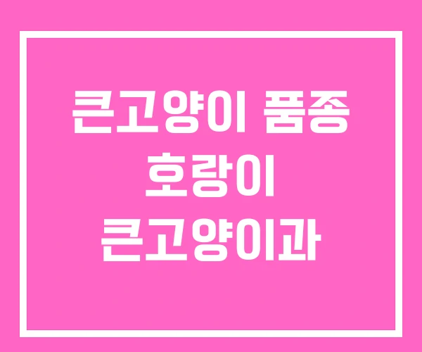 큰고양이 품종 호랑이 큰고양이과 큰고양이 품종 호랑이 큰고양이과