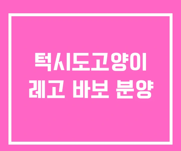 턱시도고양이 레고 바보 분양 턱시도고양이 레고 바보 분양