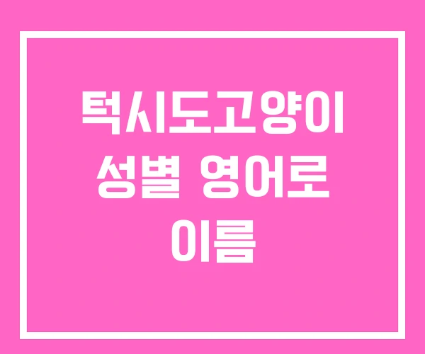턱시도고양이 성별 영어로 이름 턱시도고양이 성별 영어로 이름