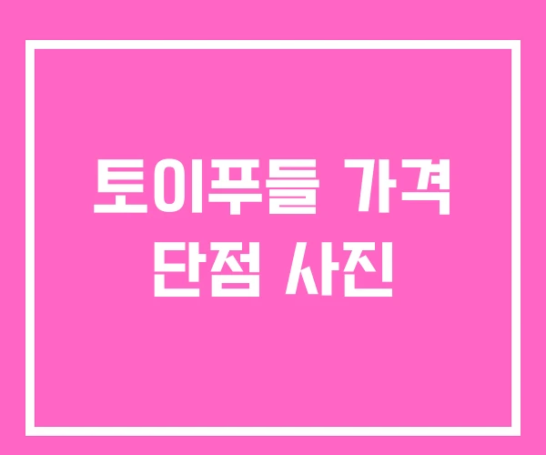 토이푸들 가격 단점 사진