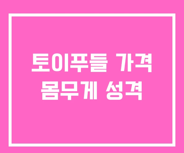 토이푸들 가격 몸무게 성격