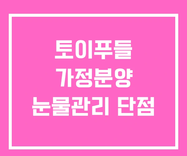 토이푸들 가정분양 눈물관리 단점