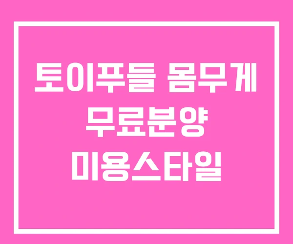 토이푸들 몸무게 무료분양 미용스타일 토이푸들 몸무게 무료분양 미용스타일