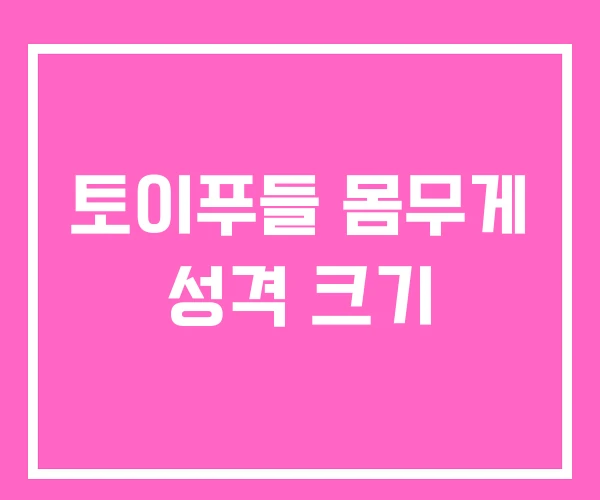 토이푸들 몸무게 성격 크기 토이푸들 몸무게 성격 크기