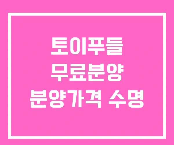 토이푸들 무료분양 분양가격 수명