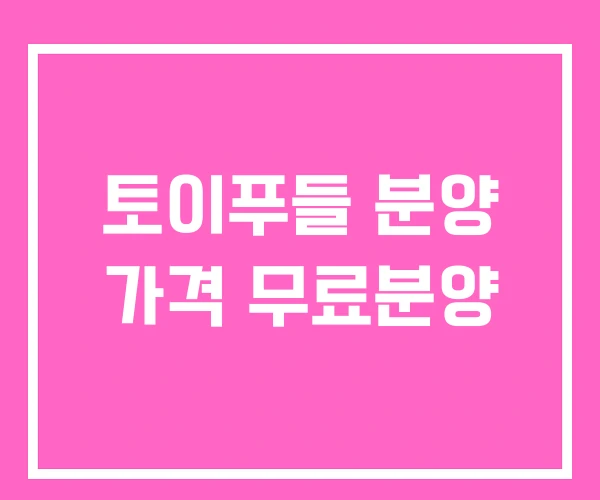 토이푸들 분양 가격 무료분양