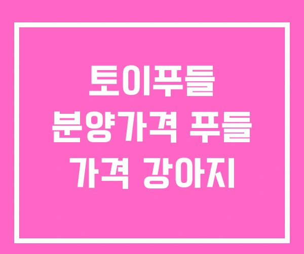 토이푸들 분양가격 푸들 가격 강아지 토이푸들 분양가격 푸들 가격 강아지