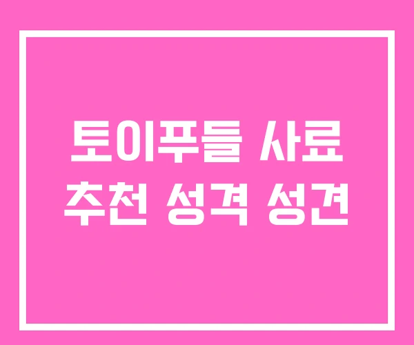 토이푸들 사료 추천 성격 성견 토이푸들 사료 추천 성격 성견