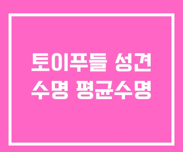 토이푸들 성견 수명 평균수명