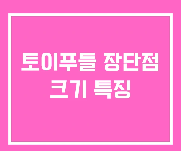 토이푸들 장단점 크기 특징 토이푸들 장단점 크기 특징