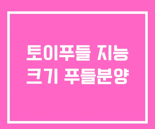 토이푸들 지능 크기 푸들분양 토이푸들 지능 크기 푸들분양