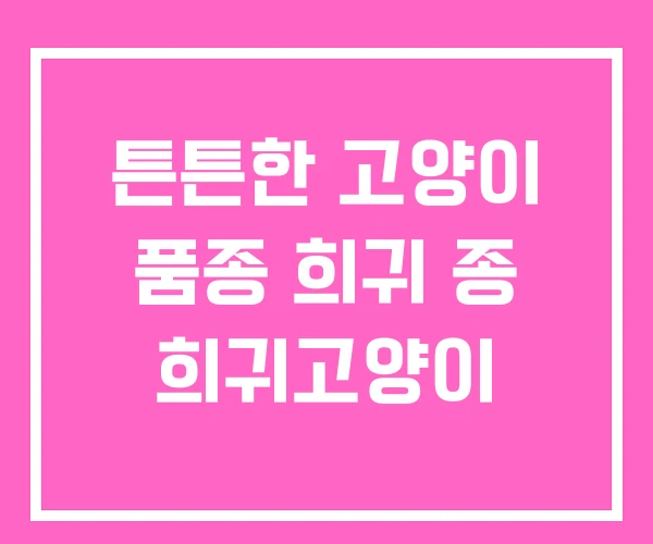 튼튼한 고양이 품종 희귀 종 희귀고양이 튼튼한 고양이 품종 희귀 종 희귀고양이