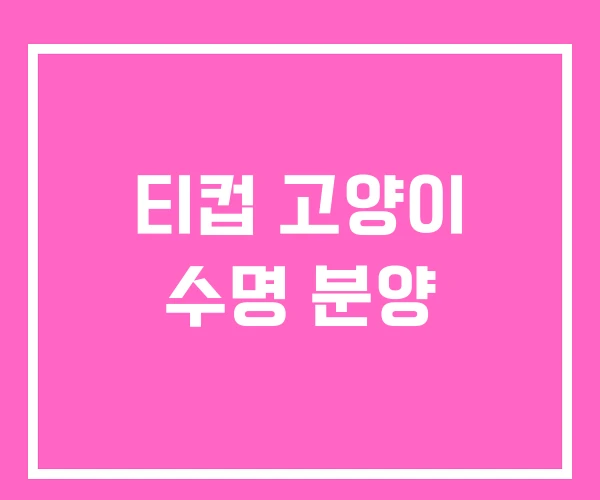 티컵 고양이 수명 분양 티컵 고양이 수명 분양