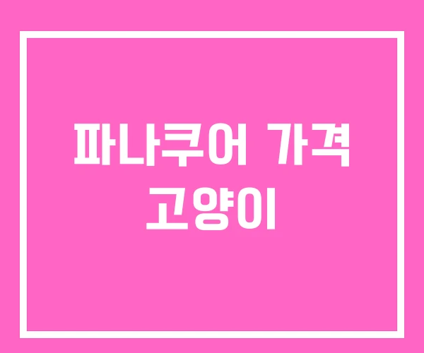 파나쿠어 가격 고양이 파나쿠어 가격 고양이