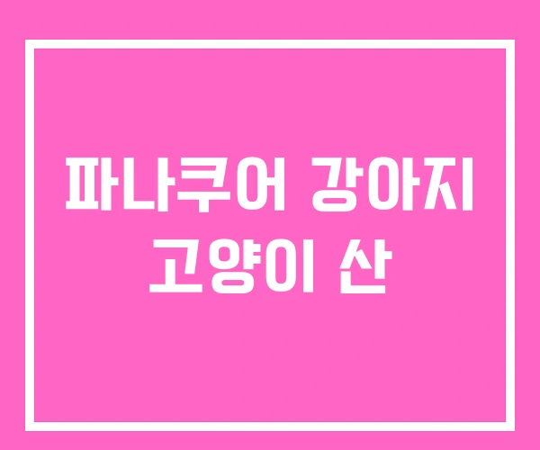 파나쿠어 강아지 고양이 산 파나쿠어 강아지 고양이 산