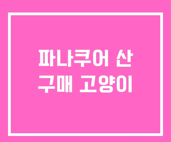 파나쿠어 산 구매 고양이