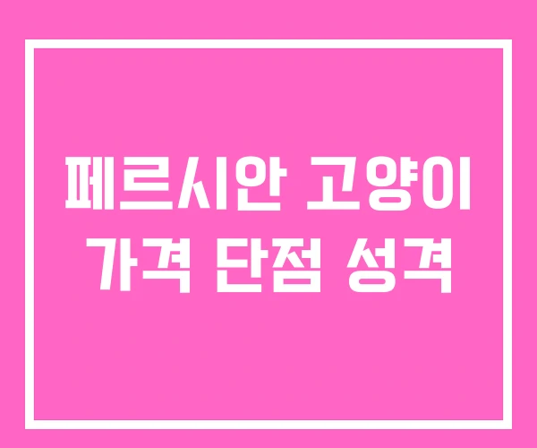 페르시안 고양이 가격 단점 성격 페르시안 고양이 가격 단점 성격