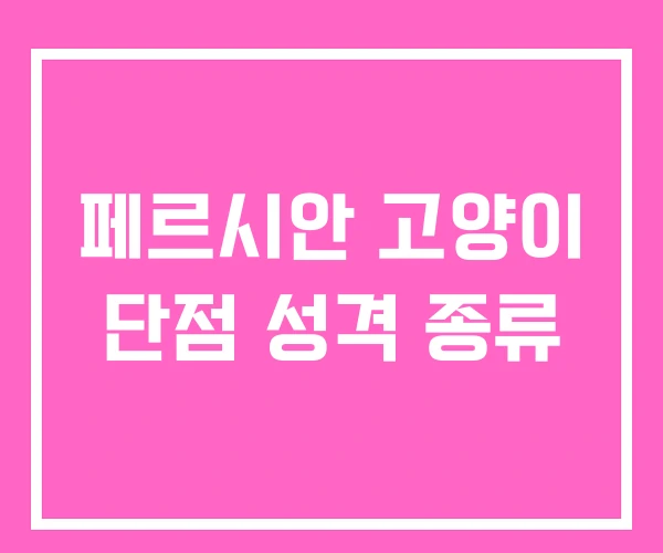 페르시안 고양이 단점 성격 종류